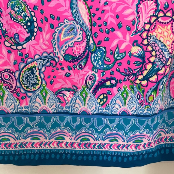 Lilly Pulitzer dress - Picture 4 of 4